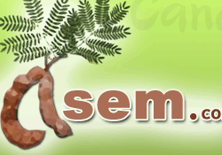permenasem.com